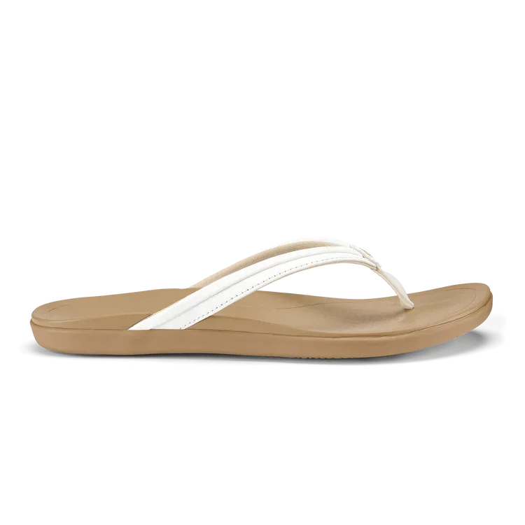 2026_06_25_2485426