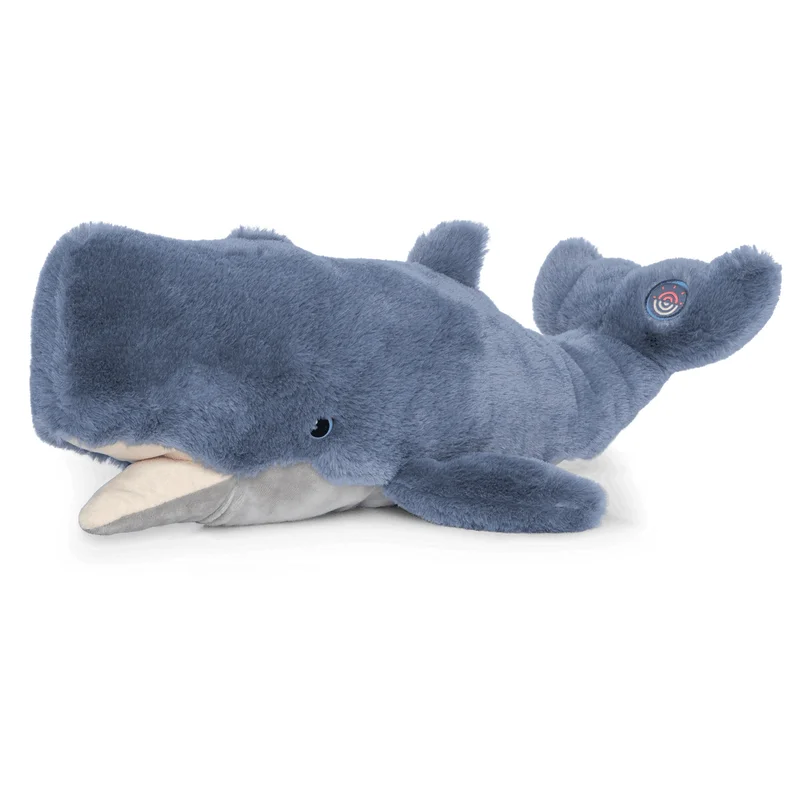 saltwatersoulkona202606250948092444570