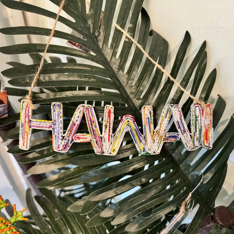 saltwatersoulkona202606250951132444814