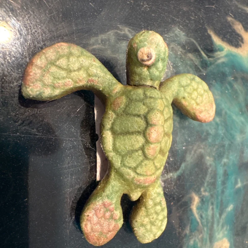 saltwatersoulkona202606250951292444839