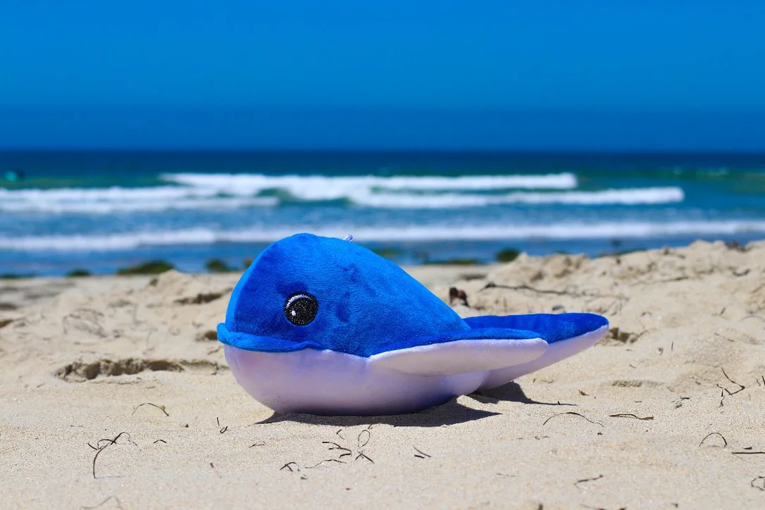 saltwatersoulkona202606250959332445510