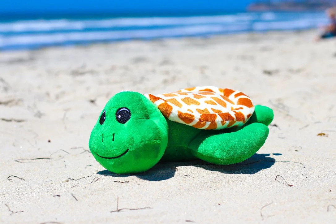 saltwatersoulkona202606250959402445523